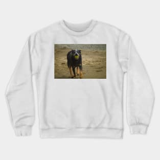 flb ball time Crewneck Sweatshirt